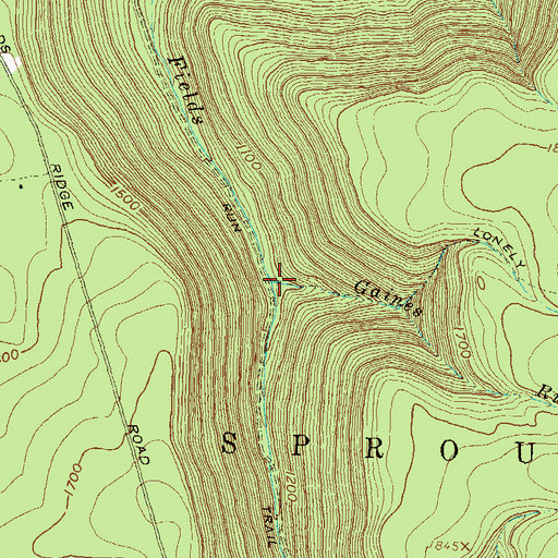Topographic Map of Gaines Run, PA