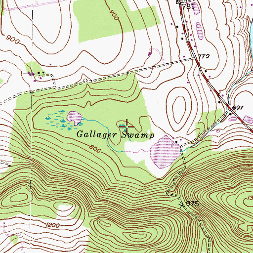 Topographic Map of Gallager Swamp, PA
