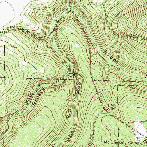 Topographic Map of Gann Run, PA
