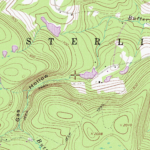 Topographic Map of Gas Hollow, PA