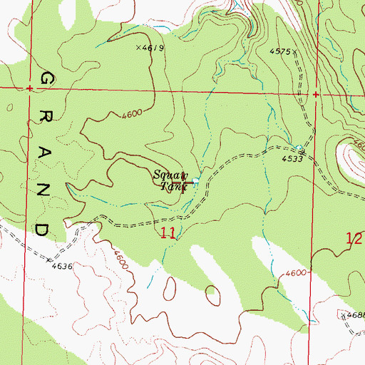 Topographic Map of Squaw Tank, AZ