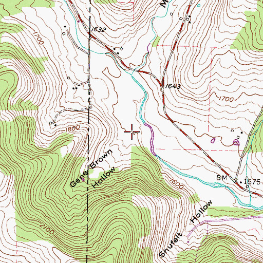 Topographic Map of Gene Brown Hollow, PA