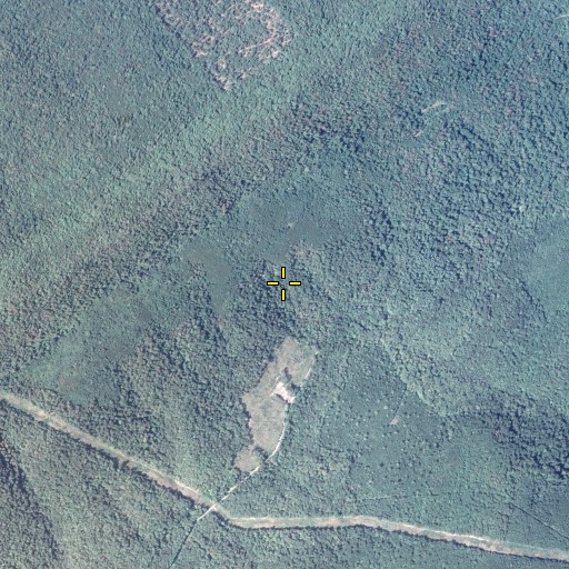 Aerial/Satellite Image of Gibbons Trail, PA