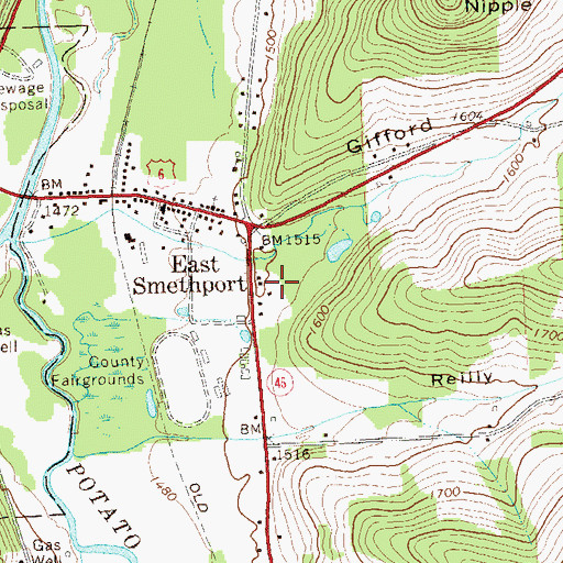 Topographic Map of Gifford Hollow, PA