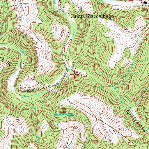 Topographic Map of Gillespie Run, WV