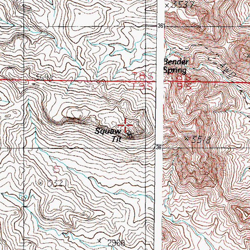 Topographic Map of Squaw Tit, AZ