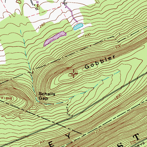 Topographic Map of Gobbler Knob, PA