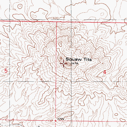 Topographic Map of Squaw Tits, AZ