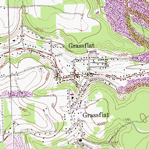 Topographic Map of Grassflat, PA