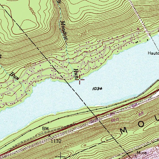 Topographic Map of Grassy Meadow Run, PA