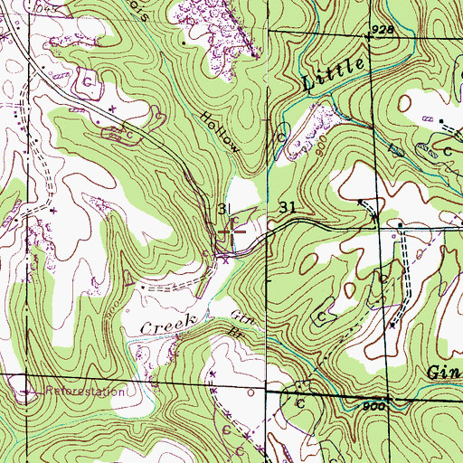 Topographic Map of Dubois Hollow, AL