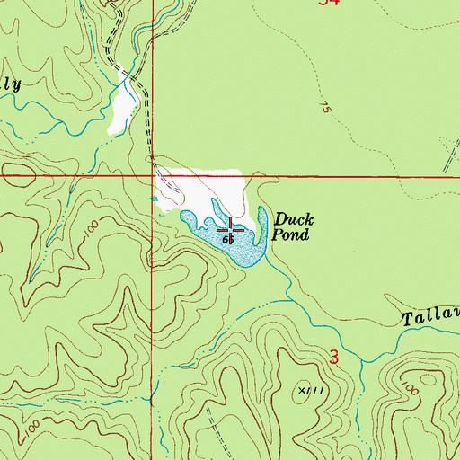 Topographic Map of Duck Pond, AL