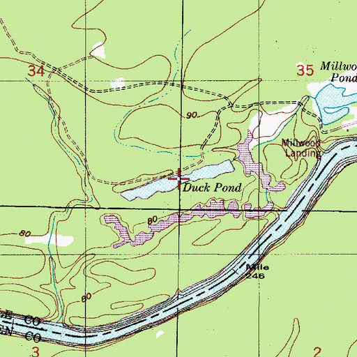 Topographic Map of Duck Pond, AL