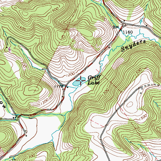 Topographic Map of Griff Lake, PA