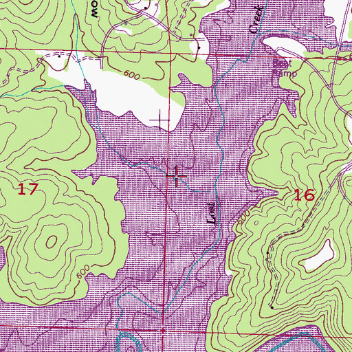 Topographic Map of Dudley Hollow, AL