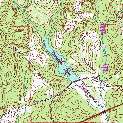 Topographic Map of Dudleys Lake, AL