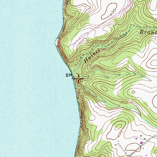 Topographic Map of Haines Branch, PA