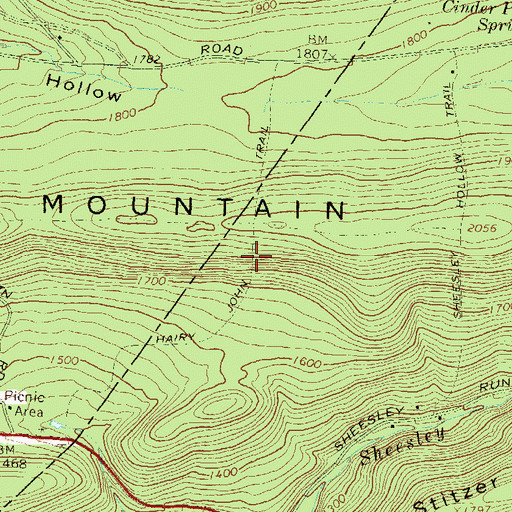 Topographic Map of Hairy John Trail, PA