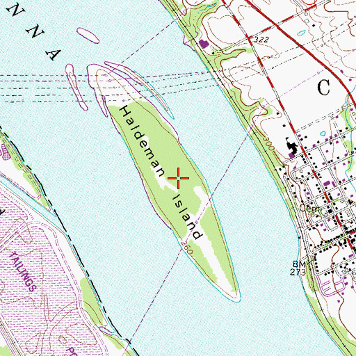Topographic Map of Haldeman Island, PA