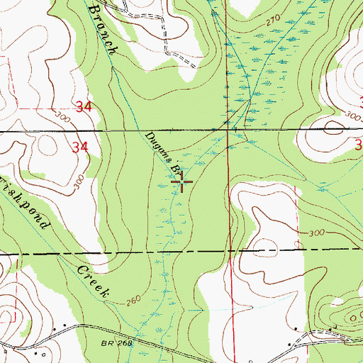 Topographic Map of Dugans Branch, AL