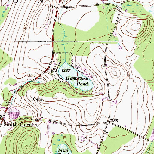 Topographic Map of Handsome Pond, PA