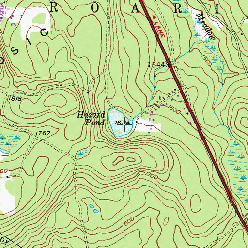 Topographic Map of Hazard Pond, PA