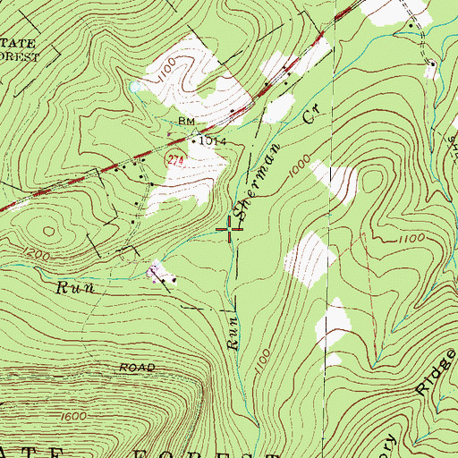 Topographic Map of Hemlock Run, PA