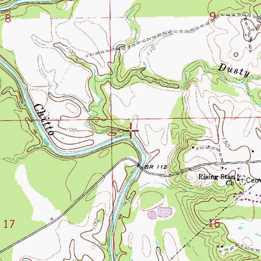 Topographic Map of Dusty Branch, AL