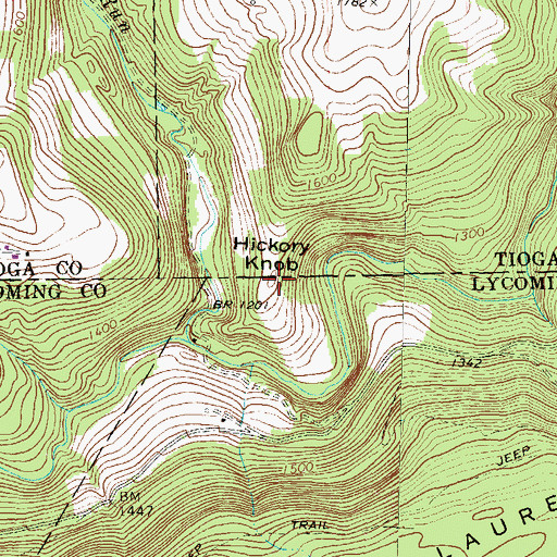 Topographic Map of Hickory Knob, PA