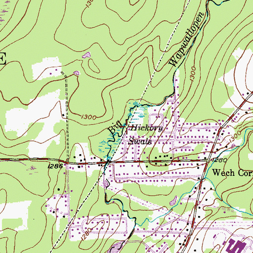 Topographic Map of Hickory Swale, PA