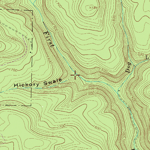 Topographic Map of Hickory Swale, PA