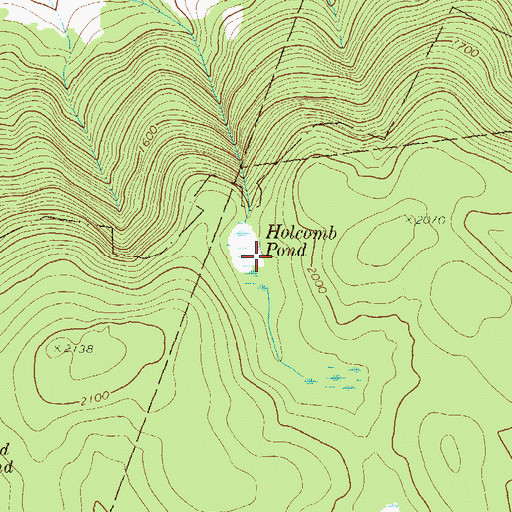 Topographic Map of Holcomb Pond, PA