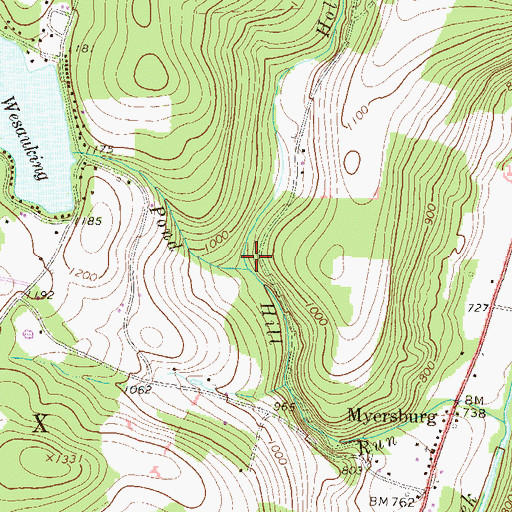 Topographic Map of Hollow Run, PA