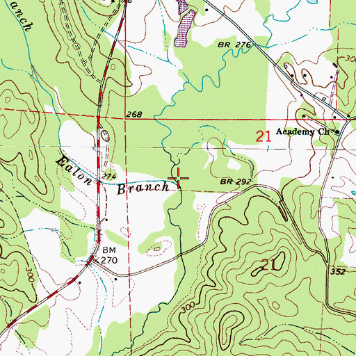 Topographic Map of Ealon Branch, AL