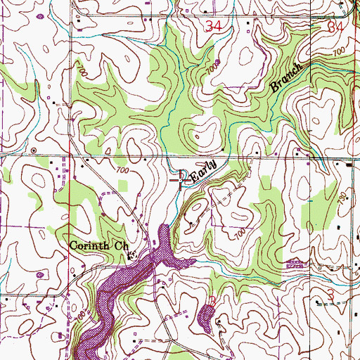 Topographic Map of Early Branch, AL