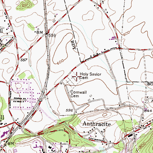 Topographic Map of Holy Savior Cemetery, PA