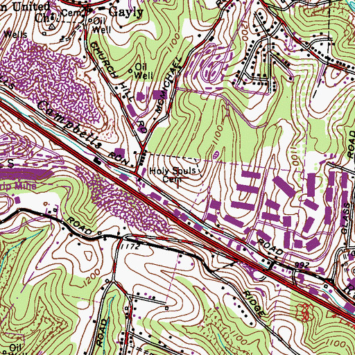 Topographic Map of Holy Souls Cemetery, PA
