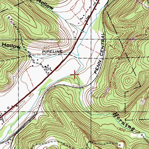 Topographic Map of Horning Run, PA
