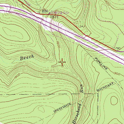 Topographic Map of Horsehead Run, PA