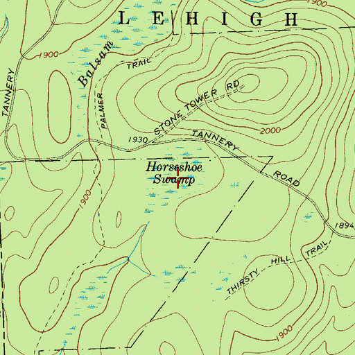 Topographic Map of Horseshoe Swamp, PA
