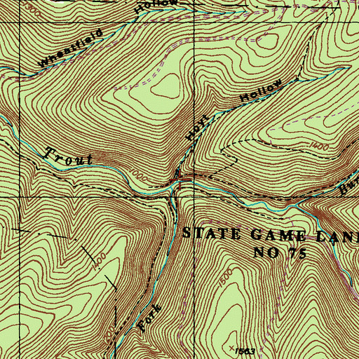 Topographic Map of Hoyt Hollow, PA