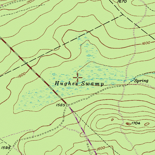 Topographic Map of Hughes Swamp, PA