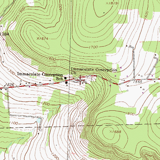 Topographic Map of Immaculate Conception Church, PA