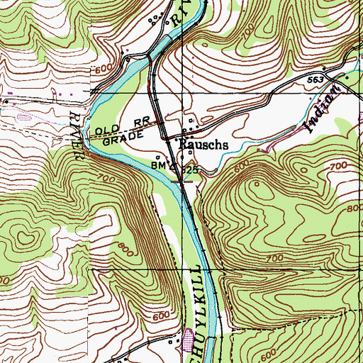 Topographic Map of Indian Run, PA