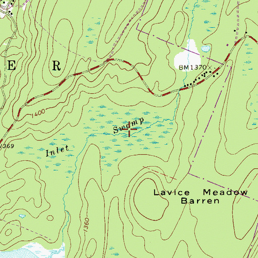 Topographic Map of Inlet Swamp, PA