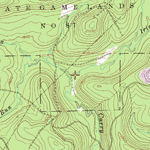 Topographic Map of Irish Run, PA