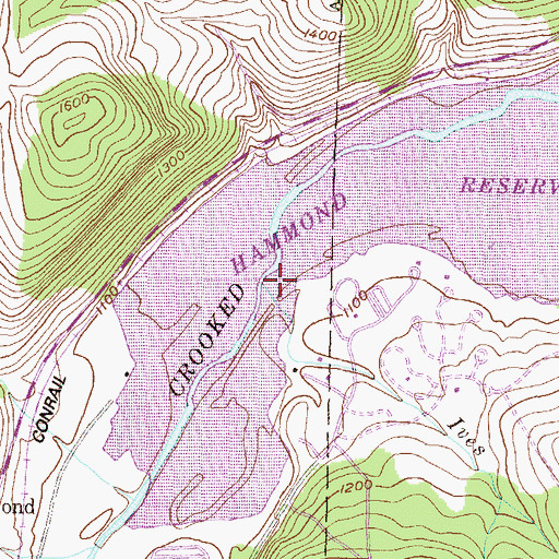 Topographic Map of Ives Run, PA