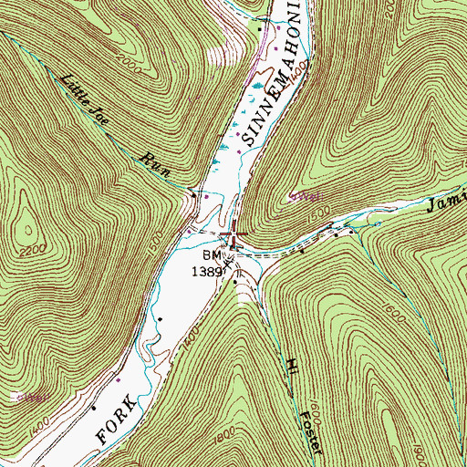 Topographic Map of Jamison Run, PA