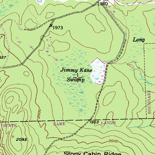 Topographic Map of Jimmy Kane Swamp, PA