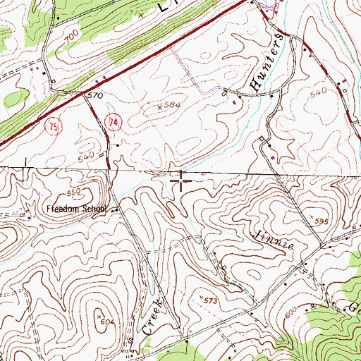 Topographic Map of Jinnie Gap Run, PA